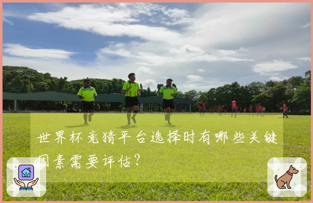 世界杯竞猜平台选择时有哪些关键因素需要评估？