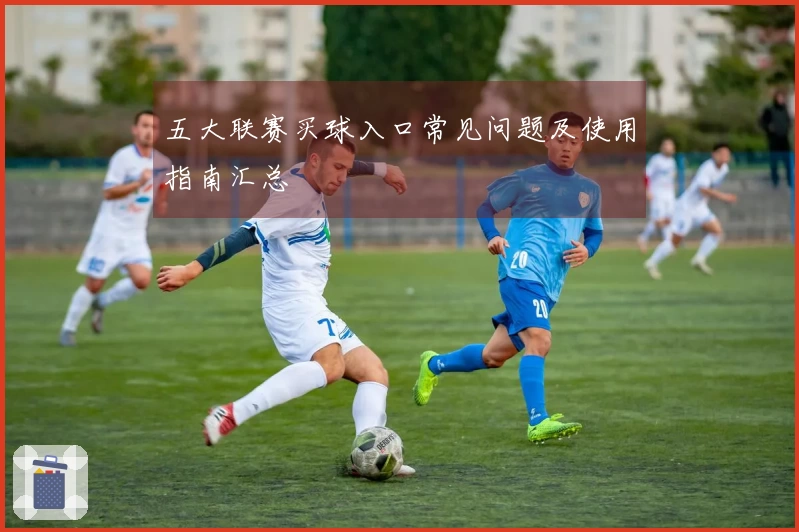 五大联赛买球入口常见问题及使用指南汇总