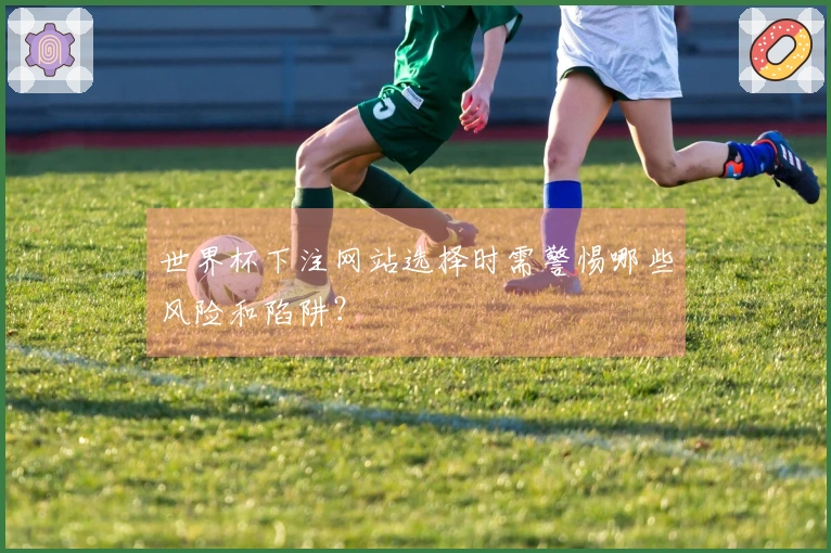 世界杯下注网站选择时需警惕哪些风险和陷阱？