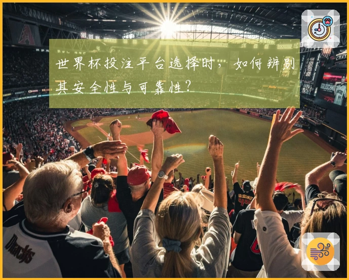世界杯投注平台选择时，如何辨别其安全性与可靠性？