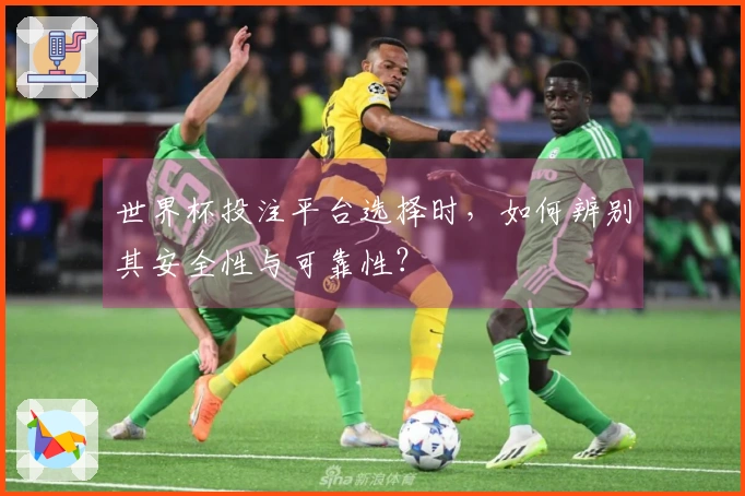 世界杯投注平台选择时，如何辨别其安全性与可靠性？