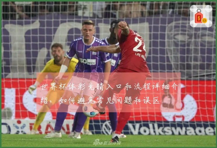 世界杯体彩竞猜入口和流程详细介绍，如何避免常见问题和误区