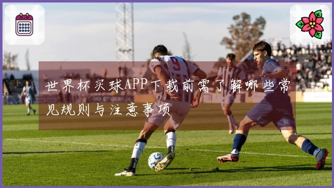 世界杯买球APP下载前需了解哪些常见规则与注意事项
