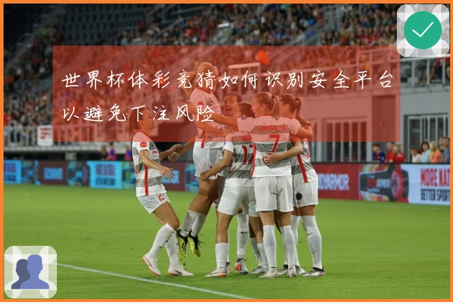 世界杯体彩竞猜如何识别安全平台以避免下注风险