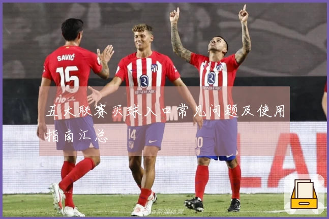 五大联赛买球入口常见问题及使用指南汇总