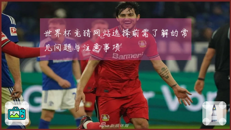 世界杯竞猜网站选择前需了解的常见问题与注意事项