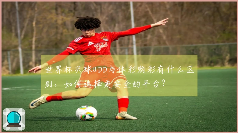 世界杯买球app与体彩购彩有什么区别，如何选择更安全的平台？