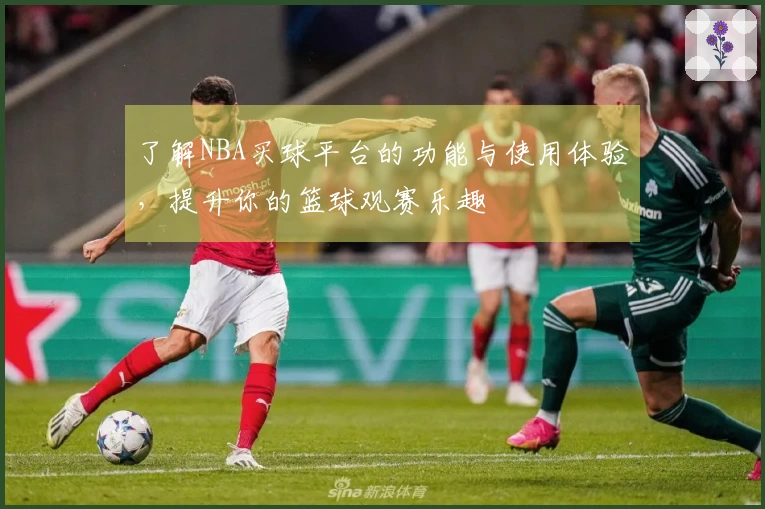 了解NBA买球平台的功能与使用体验，提升你的篮球观赛乐趣