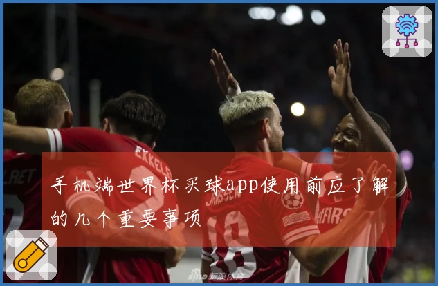手机端世界杯买球app使用前应了解的几个重要事项