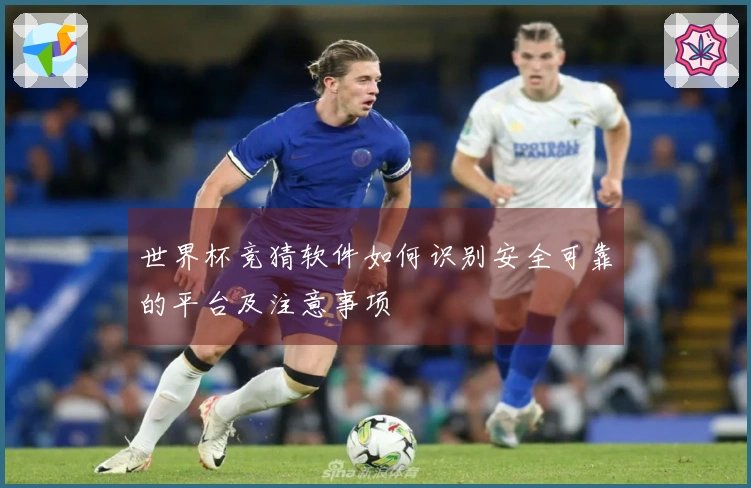 世界杯竞猜软件如何识别安全可靠的平台及注意事项
