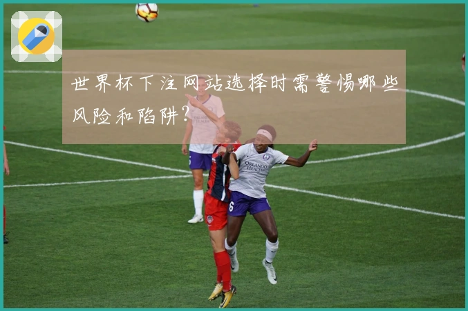 世界杯下注网站选择时需警惕哪些风险和陷阱？